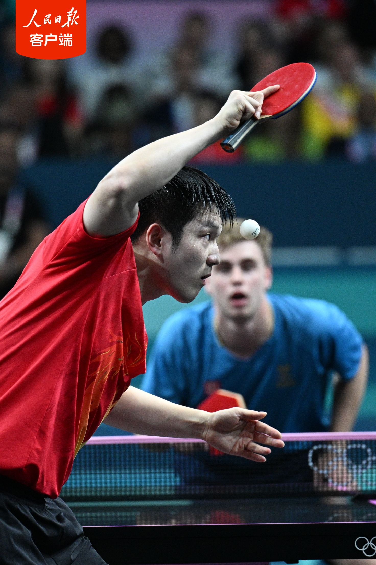 包含中国乒乓球队强势波兰乒乓球队,樊振东高光表现的词条 包含中国乒乓球队强势波兰乒乓球队,樊振东高光表现的词条