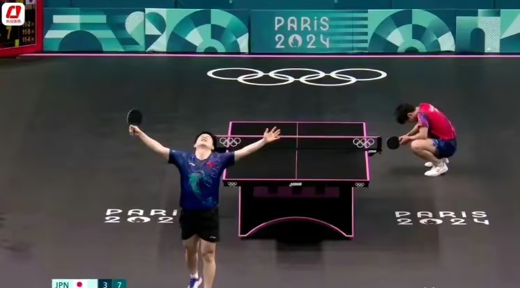 德国队逆转法国队，张本智和关键制胜的简单介绍