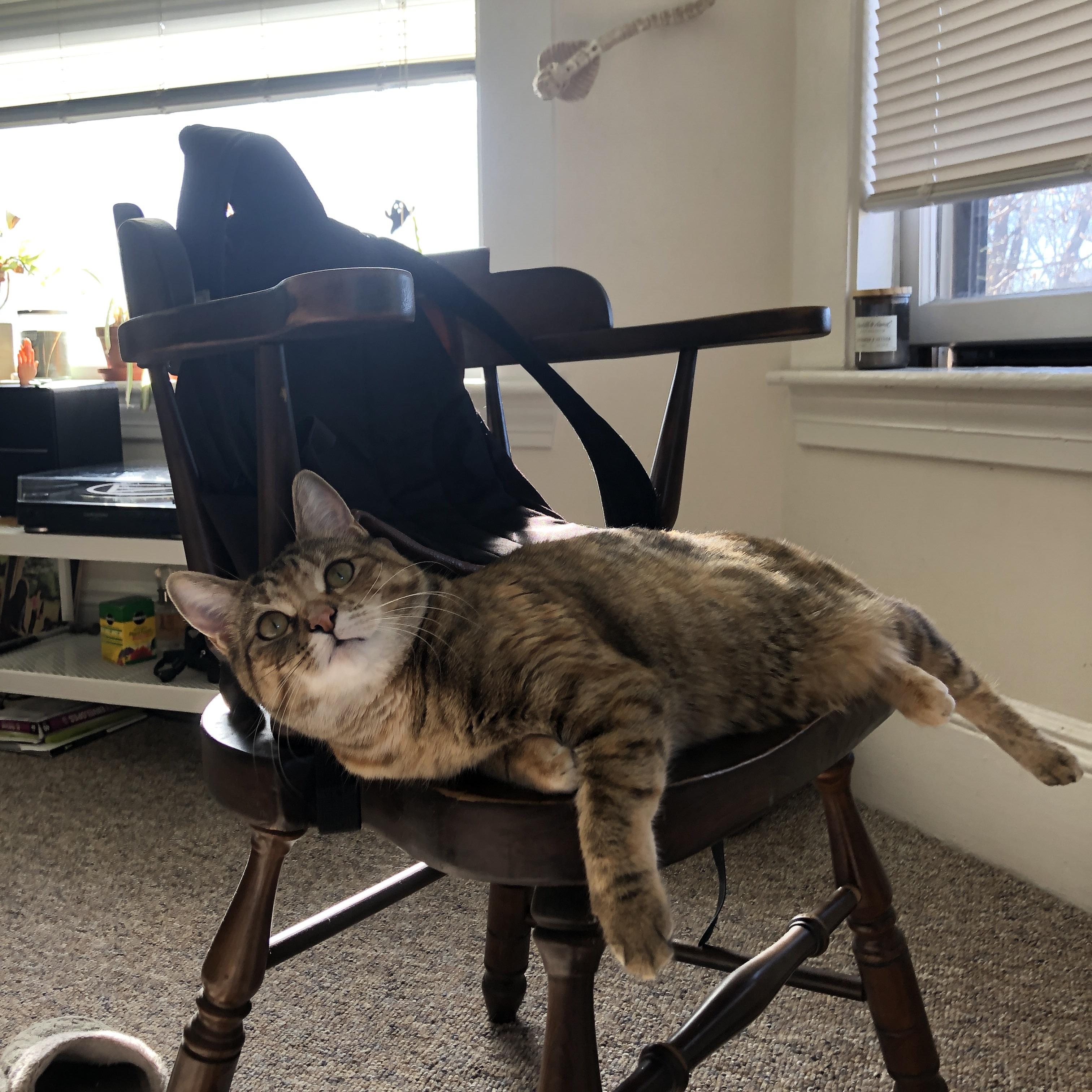 鏖战湖人,热火靠布克关键一击定江山