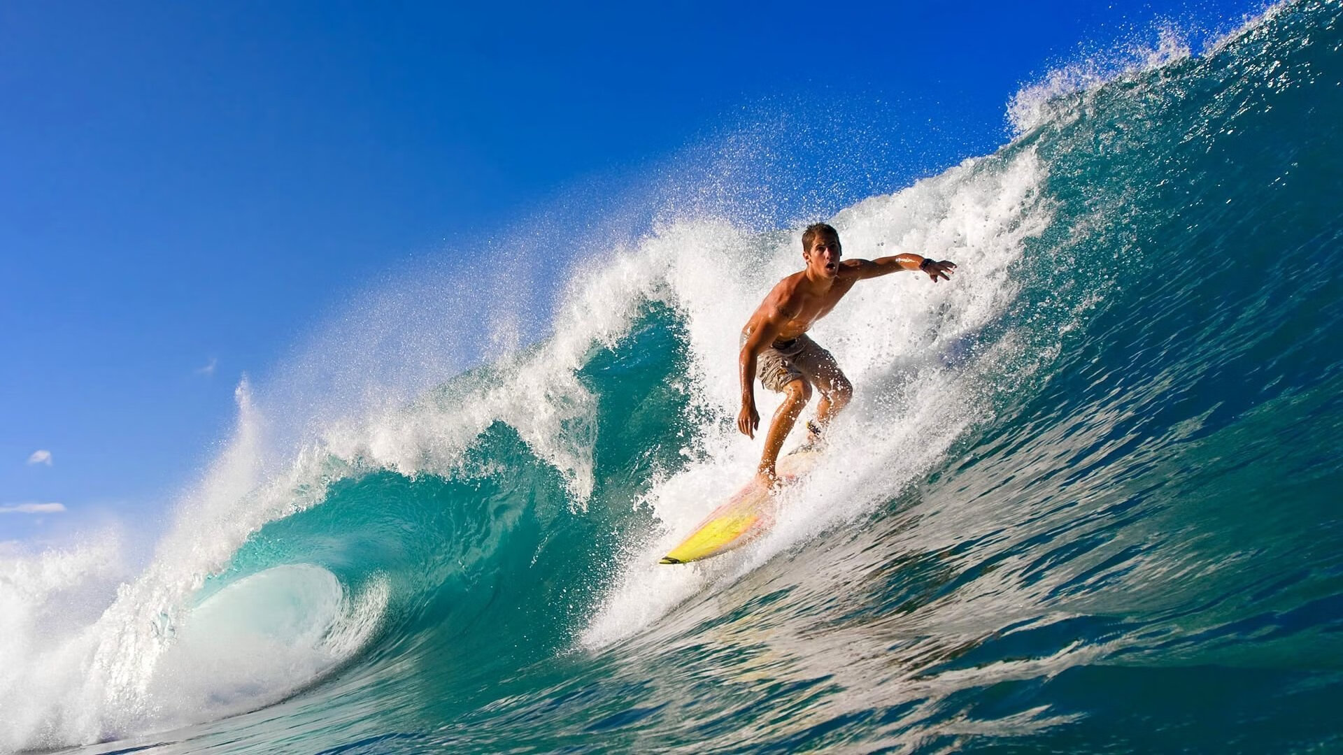 彩虹与狮,一场定义历史的抢七之战