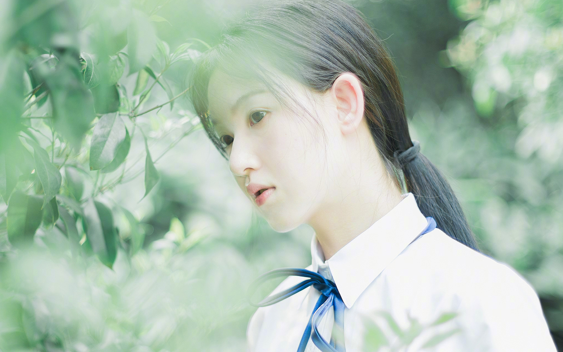 凝固时光的一击，加克波如何用脚尖在美加墨之夜写下永恒