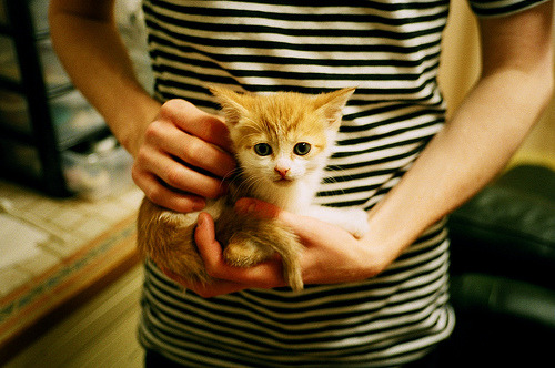 终结悬念的唯一一击,欧文末节17分杀死比赛,老鹰送鹈鹕关键连败