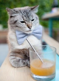 最大冷门!尼克斯铁血防守终结凯尔特人连胜,戈贝尔成为禁区守护神