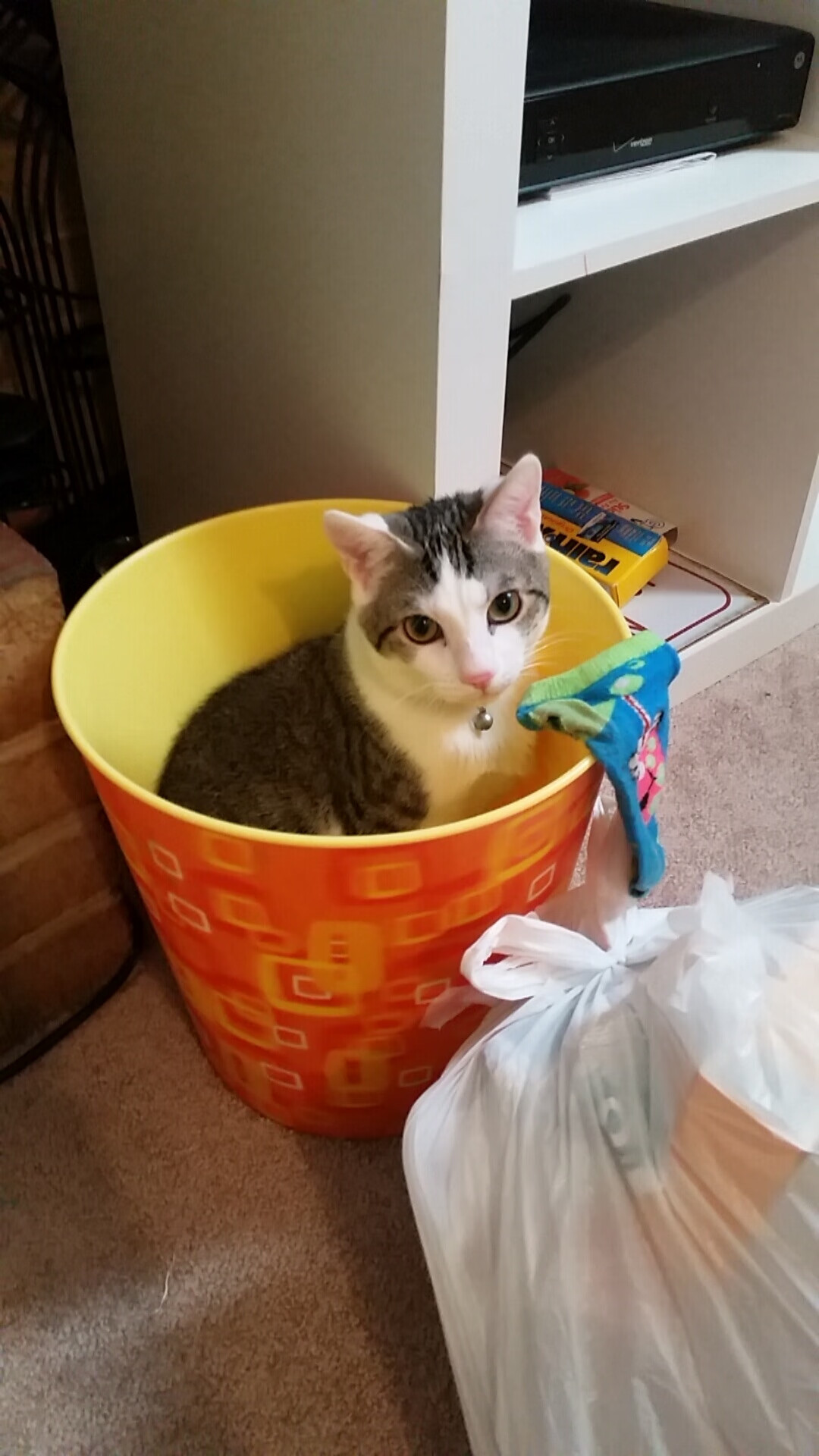 猎鹿季节,当扬尼斯式的收割降临美加墨战场