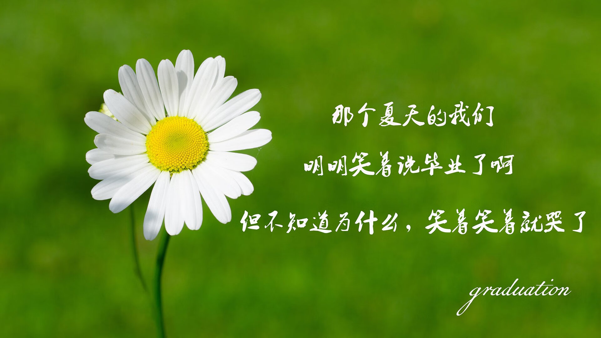 沙漠之鹰折戟塞纳河,2026世界杯半决赛,萨内一剑封喉,伊朗神话止步法兰西