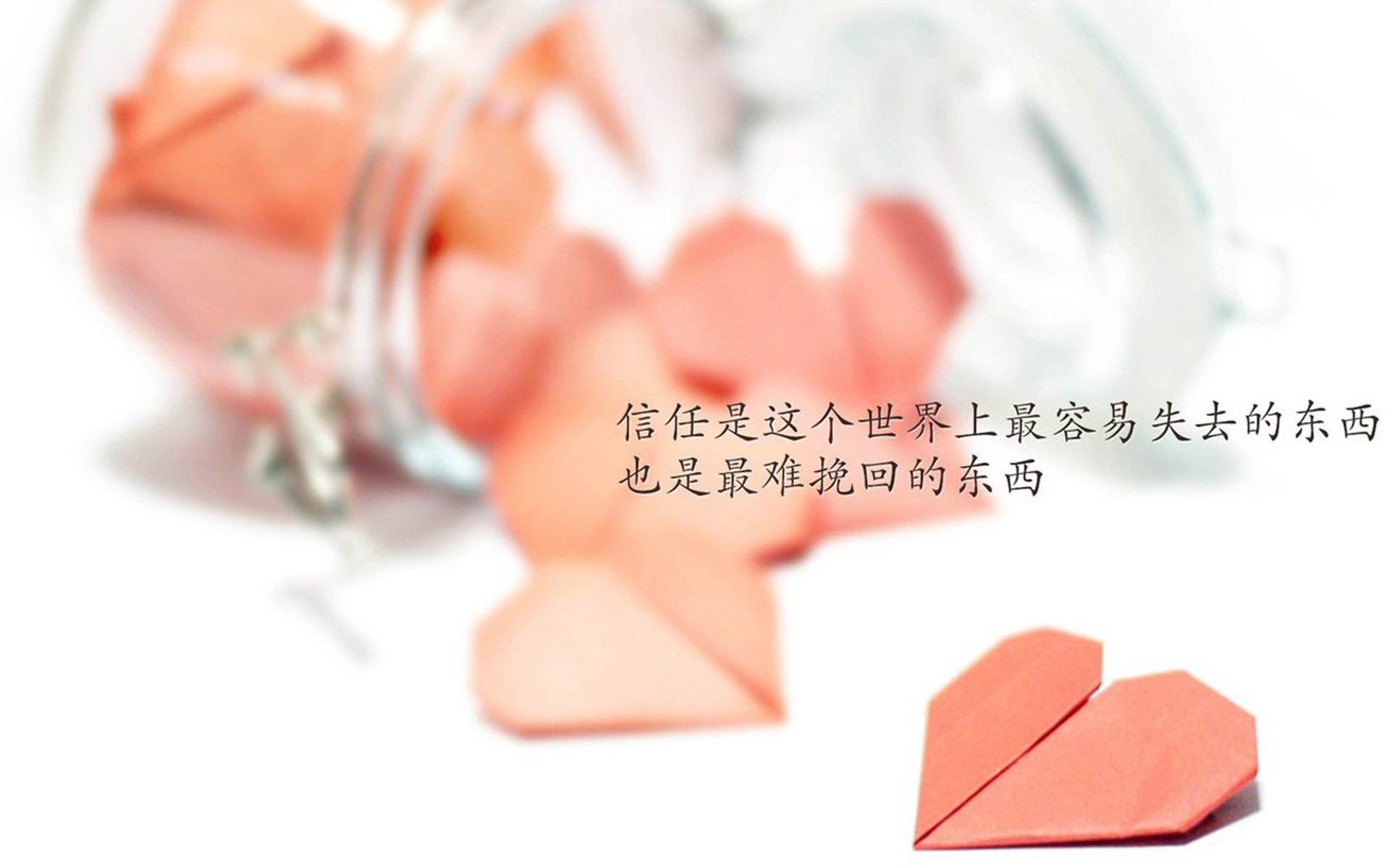 蓝衣军团的唯一答案,托纳利,2026世界杯上那枚无法复制的战术齿轮