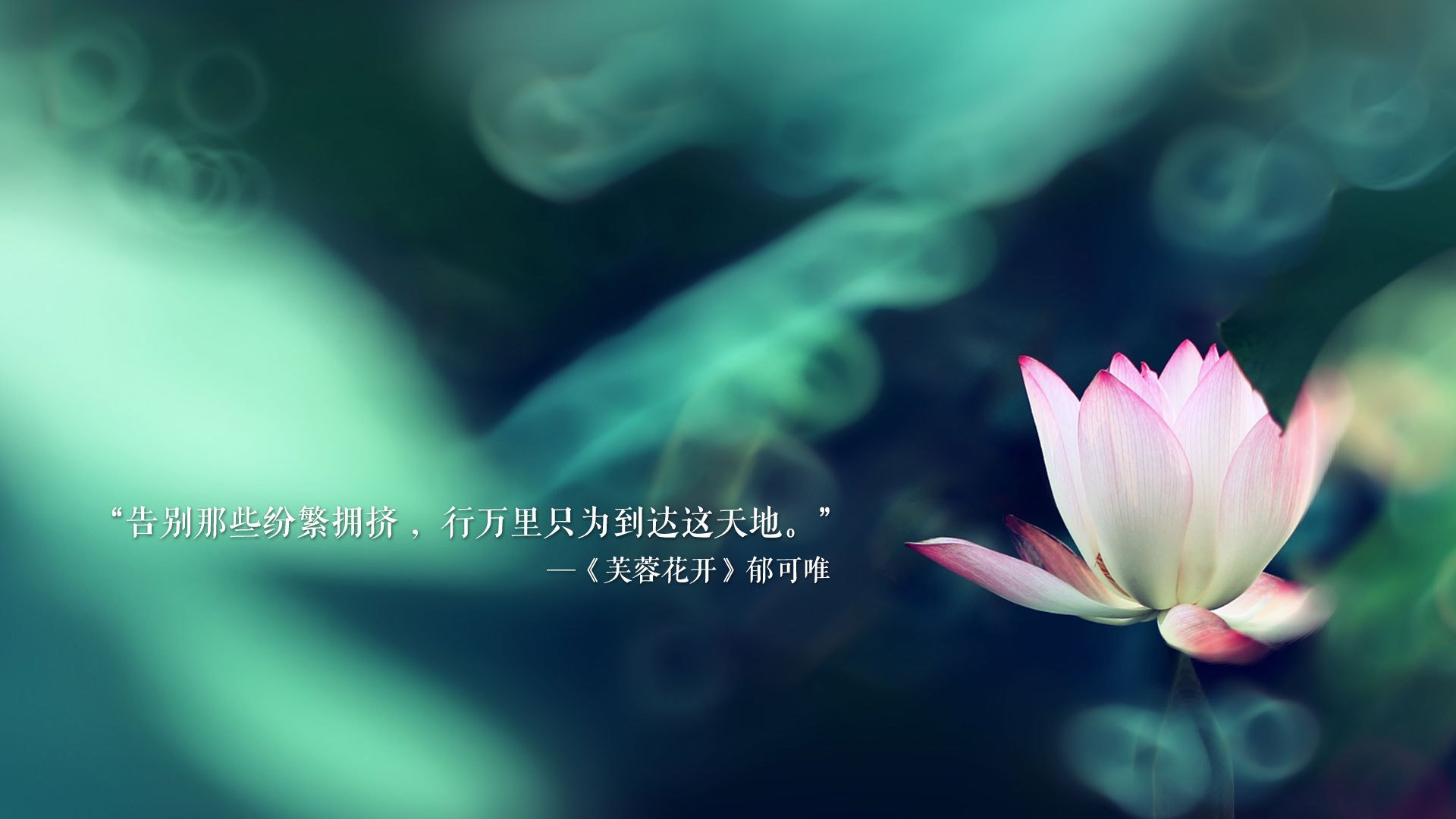 致命一击的永恒瞬间，2026世界杯G组，塔雷米让英格兰的荣耀在最后一秒崩塌